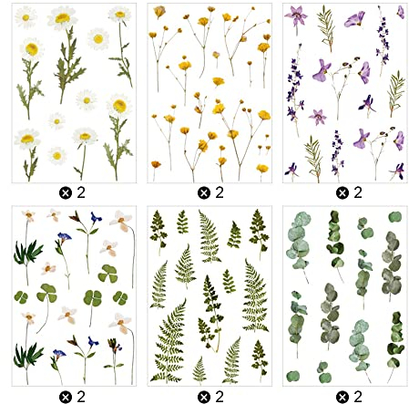 TXErfolg 12 Blatt Scrapbooking Sticker Grüne Blätter Aufkleber PET Pflanzen Blumen Sticker Set Selbstklebend Wasserdicht Blatt Aufkleber für Tagebuch Fotoalbum DIY Handwerk Notizbuch Kalender