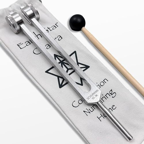 93.96Hz Schumann Weighted Tuning Fork with Earth Star Engram, Silver | With Carry bag & Stirker, Sound Healing Instruments and Biofield Harmonization - Chakra Alignment