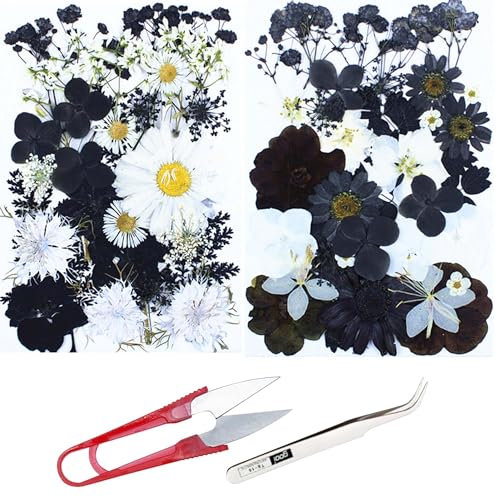 Cayway 60 PCS Bricolage Fleurs Séchées Ensemble Feuilles Naturelles Pressées à Sec, Noir et Blanc Fleurs Pressées Séchées Fleurs Sechees Naturelles pour L'artisanat d'art de Bricolage, Style A