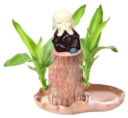Brasilianisches GlüCksholz Brasilianisches Holz Pflanze Mini Glücksholz Aus Brasilien Brasilianische Holzpflanze mit Mönchsstatuen Desktop Pflanze Brazilian Wood Plant Pflanzenstumpf