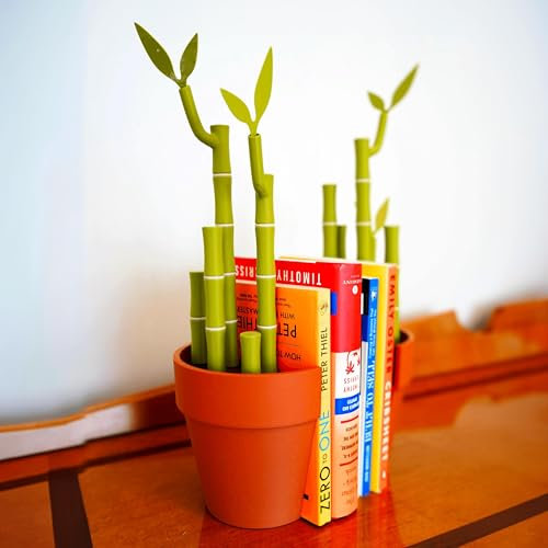 Organiseur de bureau en bambou avec serre-livres et porte-stylo | Distributeur de notes Post-It | Support de marque-page pour table | Serre-livres fonctionnels en bambou imprimé 3D
