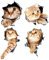fumooa (4 Stück 3D Katze Auto Aufkleber Aufkleber/Aufkleber für, Auto, Laptop oder