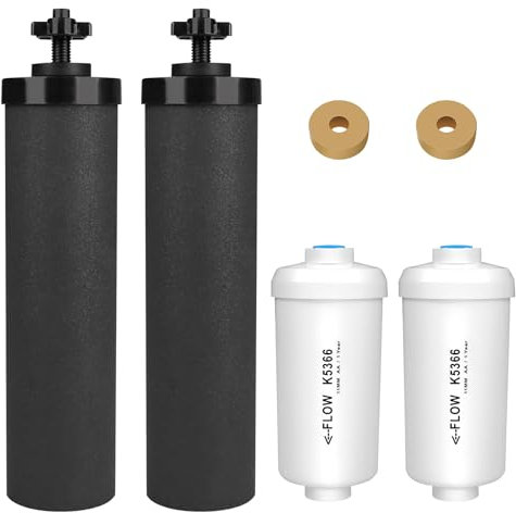 MACIFECI Lot de 4 filtres à eau de rechange pour Berkey, 2 filtres à charbon noir et 2 filtres au fluor, compatibles avec le système de filtre à eau Berkey Gravity