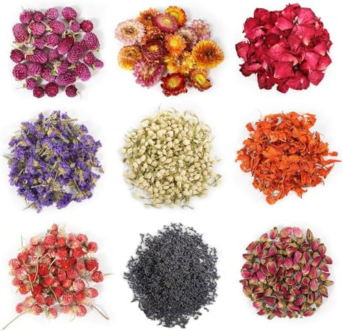 9 Packungen Arten Blüten Trockenblumen für Seife Getrocknete Kräuter und Blütenblätter Kräuter Kit Jasmin Lavendel Vergissmeinnicht Rose Lilie Rote Pflaumen...für Seifenherstellung Kerzenherstellung
