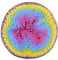 Scheepjes 1698-765 Whirl Wolle, Cotton, Lemon Cassis Cream, 1000 m, Meter