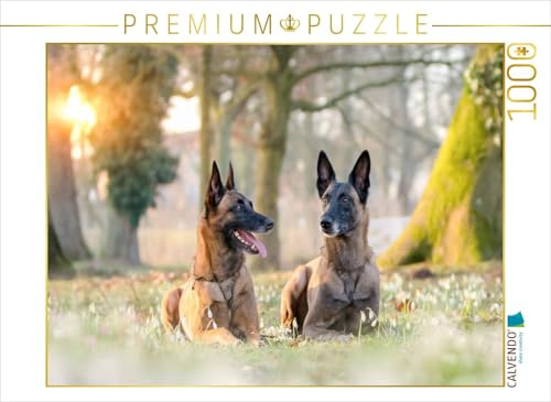 CALVENDO Puzzle EIN Motiv aus dem Kalender Malinois - Belgische Energiebündel | 1000 Teile Lege-Größe 64 x 48 cm Foto-Puzzle für glückliche Stunden