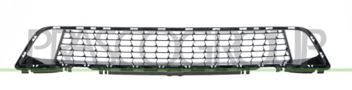 Bumper grille in the middle, black