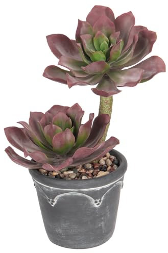 Arborus Suculentas Artificiales Grandes en Maceta de Cemento para decoración del baño del hogar Color Magenta Oscuro