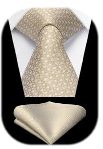 HISDERN Krawatten Champagne Herren Hochzeit Krawatte mit Einstecktuch Klassisch Business Krawatte & Taschentuch Set