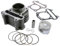 Zylinder Kit 72ccm 2EXTREME Sport für REX Monaco 50cc, Monza, RS Classic, RS400, RS450, RS460