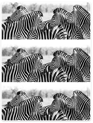YISUMEI Bedruckte Kuscheldecke Zebra Decke Flauschig Weich Fleecedecke 150x200 cm