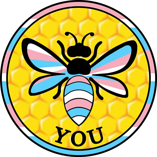 Honey Bee You Trans World Gay Pride Stoßstangen-Aufkleber – LGBT Regenbogen Premium Vinyl-Aufkleber 7.6 x 7.6 cm | für Autos, Automobile, Outdoor, Kreisschild + besser als Magnete haften überall