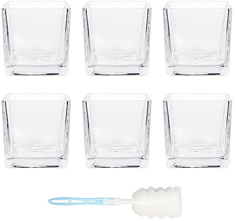 HWASHIN Set of 6 Square Glass Vases 4 x 4 Inch, Clear Cube Flower Vases