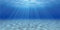 MIRRORANG 120x50cm Unterwasser-Thema Aquarium Hintergrund Sonnenschein Unterwasserwelt Aquarium Dekoration Hintergrund Vinyl Hintergrund