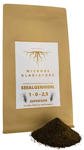 MICROBE GLADIATORS - Kelp Algenmehl Braunalgen (Ascophyllum Nodosum) 1-0-2,5 organischer Universaldünger mit Spurenelementen (1kg)