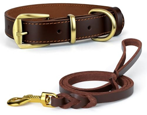 Echtleder Hundehalsband und Hundeleine Set - M Halsband & 122cm robuste Lederleine - Verstellbar, Langlebig & Komfortabel für kleine, mittelgroße und große Hunde - Klassisches Design