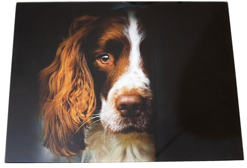 Springer Spaniel Glass Chopping Board 40x30cm Dog Animal Black Workstop Saver