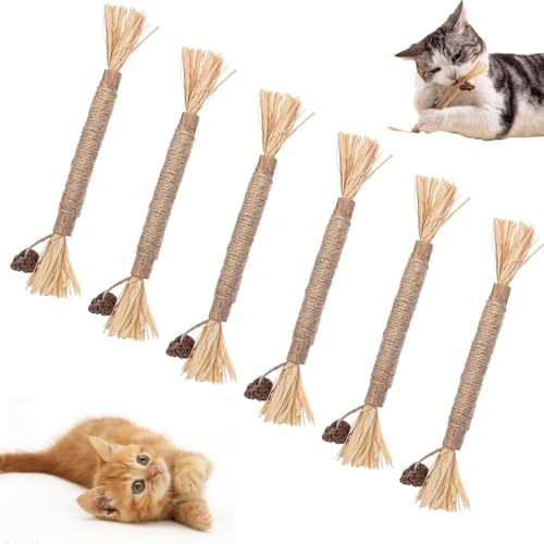 Nurhore 6Pcs Natural Silvervine Sticks Kitten Teething Toys, Catnip Chew Stick for Indoor Cat Teeth Cleaning Kitten Teething and Stress Release
