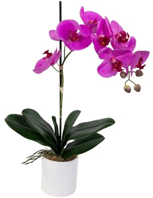 Seidenblumen Roß Künstliche Orchidee Real Touch im Keramiktopf 52cm lila-Fuchsia DP – Phalaenopsis wie echt mit 8 Blüten & Wurzelwerk – Hochwertige Kunstblume fertig im Topf