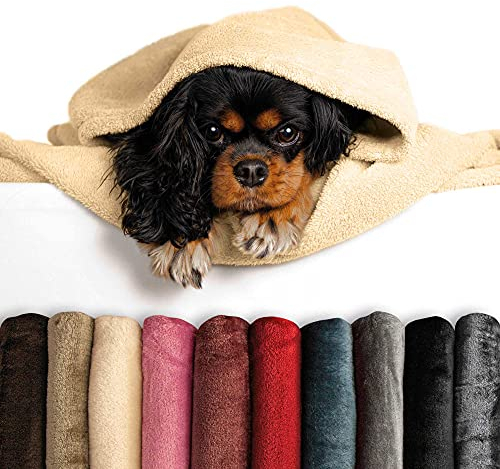 Schecker Mikrofaserdecke - Premium Hundedecke - Sterne mit Hundename - Schecker - Grün - 150 cm x 95 cm