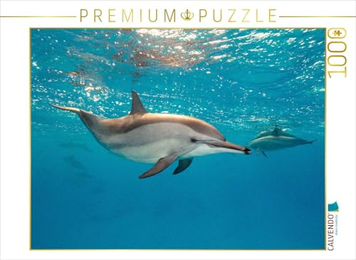 CALVENDO Puzzle Delfin | 1000 Teile Lege-Größe 64 x 48 cm Foto-Puzzle für glückliche Stunden