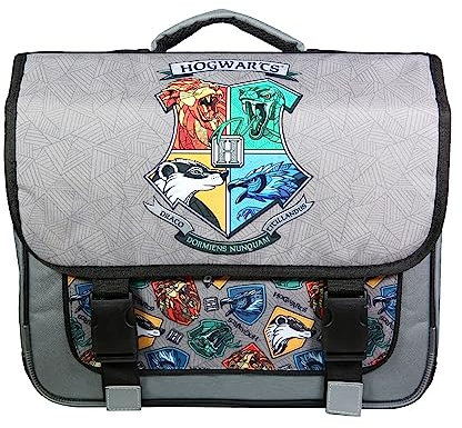 Bagtrotter Schulranzen 38 cm Harry Potter Grau