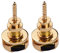 Guitar Strap Lock, 2pcs Guitar Strap Locks Straplocks With Metal Security Arrow Storage Case Buttons Retainer for Acoustic Electric Bass (Gold)