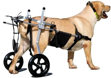 Yinian 2 Ruote Sedia a Rotelle per Cane Carrello per Disabili Scooter per Animali Domestici Carrello per Cani Disabili con Ruote per Riabilitazione di Gambe di Animali Disabili(Size:M（15-20kg）)