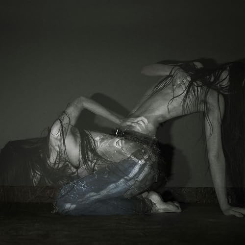 Something Is a Shell [Vinyl LP]