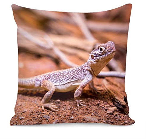 Kissenbezug mit Gecko-Muster, Heimdekoration, quadratisch, 45,7 x 45,7 cm, Tierdekoratives Kissen für den Innenbereich, für Couch, Sofa