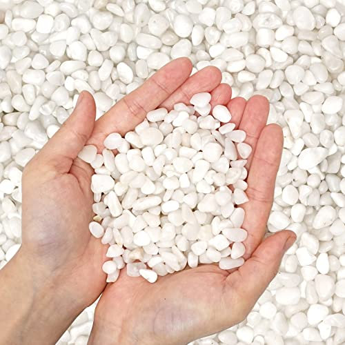 0.7 kg natürliche polierte dekorative weiße Kieselsteine – kleine Steine 0.95 cm Kiesgröße, Flusssteine, Kieselsteine für Pflanzen, Heimdekoration, Feengarten, Landschaftsbau Outdoor-Steine