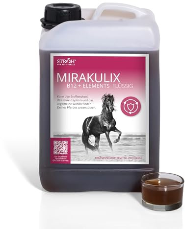 STRÖH Mirakulix B12 + Elements flüssig - Immunbooster - 3L Kanister | 100% Natürlich - Mit Artischocke, Rote Bete, Ginseng & Propolis - Nahrungsergänzung - Äußerst schmackhaft - Made in Germany