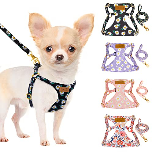 SlowTon Hundegeschirr mit Leine, No-Pull leichtes weiches Wildleder-Welpengeschirr mit Blumenmuster und Schnappschnalle, verstellbares Geschirr Hund für kleine und mittelgroße Hunde(Schwarz, XXS)