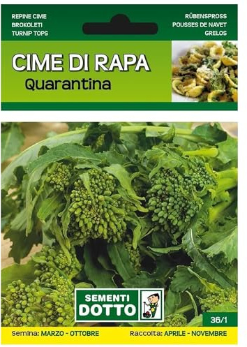Sicignano | Semi Cime di Rapa Quarantina - Pianta Precoce, Infiorescenze Serrate, Busta Extra - 2 Confezioni da 20g, Raccolta Primaverile-Estiva