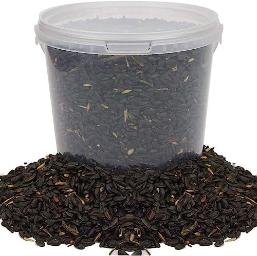 Graines de Tournesol Noir BusyBeaks - Nourriture Riche en Huile pour Oiseaux Sauvages de Jardin occupés (10L)