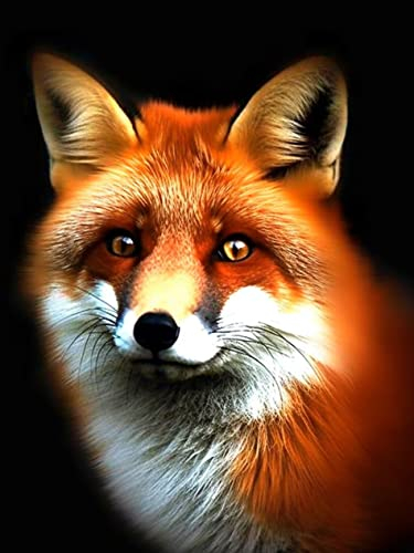 VAIIEYO DIY 5D Diamond Painting Fuchs, Diamant Painting Bilder Malerei Kits Tier, Malen Nach Zahlen Diamant Home Wand Decor Gemälde Kreuzstich Diamond Dekoration 30x40 cm