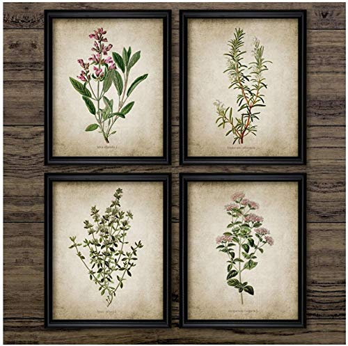 Mmdianpu Poster e Stampe su Tela Vintage con Erbe aromatiche, origano, rosmarino, Salvia, Timo, Pittura su Tela, Quadri retrò, Decorazioni per la casa, Decorazioni murali (40x60 cmx4 Senza Cornice)