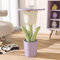 FZSERUN Blumen Kleiner Couchtisch, Beistelltisch In Tulpenform, Blumen Beistelltisch, Kleiner Beistelltisch, Mit Ablagefach, FüR Couch, Schlafzimmer, Heimdekoration,Lila,30×30×51cm