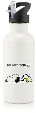Giftme No Not Today Dog Birthday, Christmas, Secret Santa Stocking Filler Stainless Steel 600ml Water Bottle with Straw. (White)