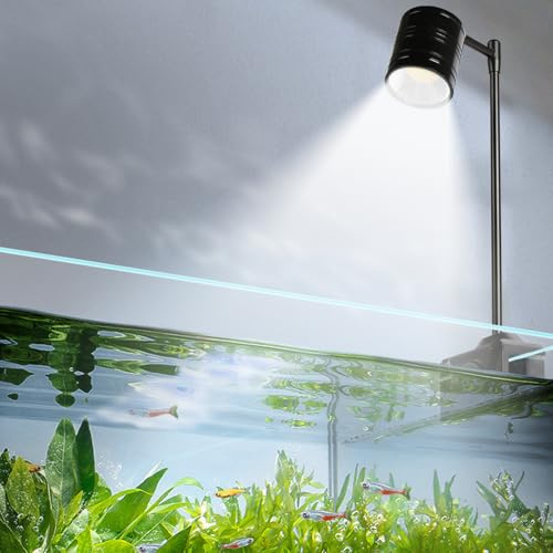 Boxtech Aquarien LED beleuchtung 7W - COB Spotlight mit Temperaturbeständigkeit Schnelle Wärmeableitung und nachhaltige Nutzung