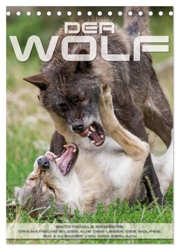 Emotionale Momente: Der Wolf. (Tischkalender 2026 DIN A5 hoch), CALVENDO Monatskalender: Herrliche Fotos vom Wolf in seinem Lebensraum. (CALVENDO Tiere)