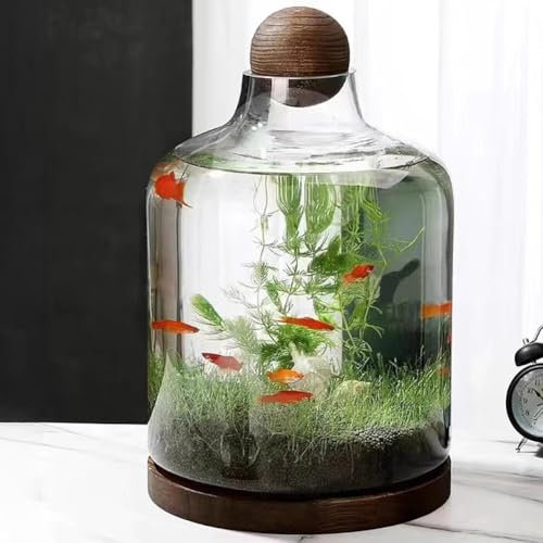 MegLob Aquarium pour Poissons Betta, Bocal en Verre avec Base en Bois, Aquarium Micro-Paysage, Vase en Verre 2 en 1 pour Fleurs, Aquarium Moderne pour Présentation sur Table,XL