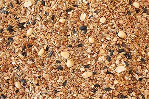 Anhaltiner Vier-Jahreszeiten-Futter 25 kg Vogelfutter Wildvogelfutter Ganzjahresfutter Streufutter