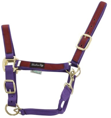 Umbria Equitazione Halfter aus Nylon Pony, Violett-Bordeaux