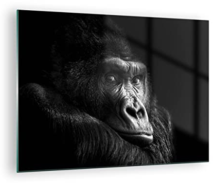 Bilder auf Glas Affe Gorilla Porträt Glasbild 70x50cm Wandbilder Dekoration Wohnzimmer Schlafzimmer Küche Deko Klein Wanddeko Bild im Glas Wand Kunstdruck Art Modern Wall Decor Glasdruck GAA70x50-5007