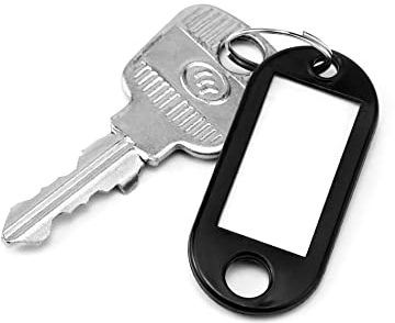QWORK® 100 Stück Schlüsselanhänger zum Beschriften, Schlüsselschilder für Zuhause Büros Pet ID Gepäckanhänger