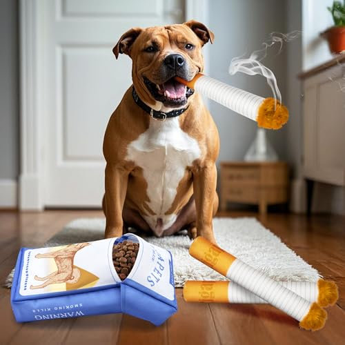 Homrich Squeaky Dog Toys, Funny Interactive Dog Toy for Puppy, 3 Packs Giggle Toys with Storage Box for Boredom, Dogs Birthday Present, Dog Accessoris