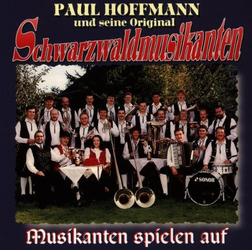 Musikanten Spielen auf