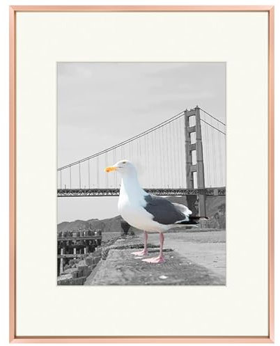 Frametory, 16 x 20 Cadre Photo en métal Collection, Cadre Photo en Aluminium avec Tapis de Couleur Ivoire pour 11 x 14 Photo et Verre véritable 16x20 Rose Gold