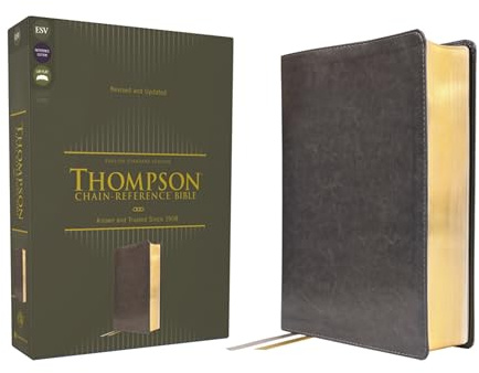 ESV, Thompson Chain-Reference Bible, Leathersoft, Gray, Red Letter